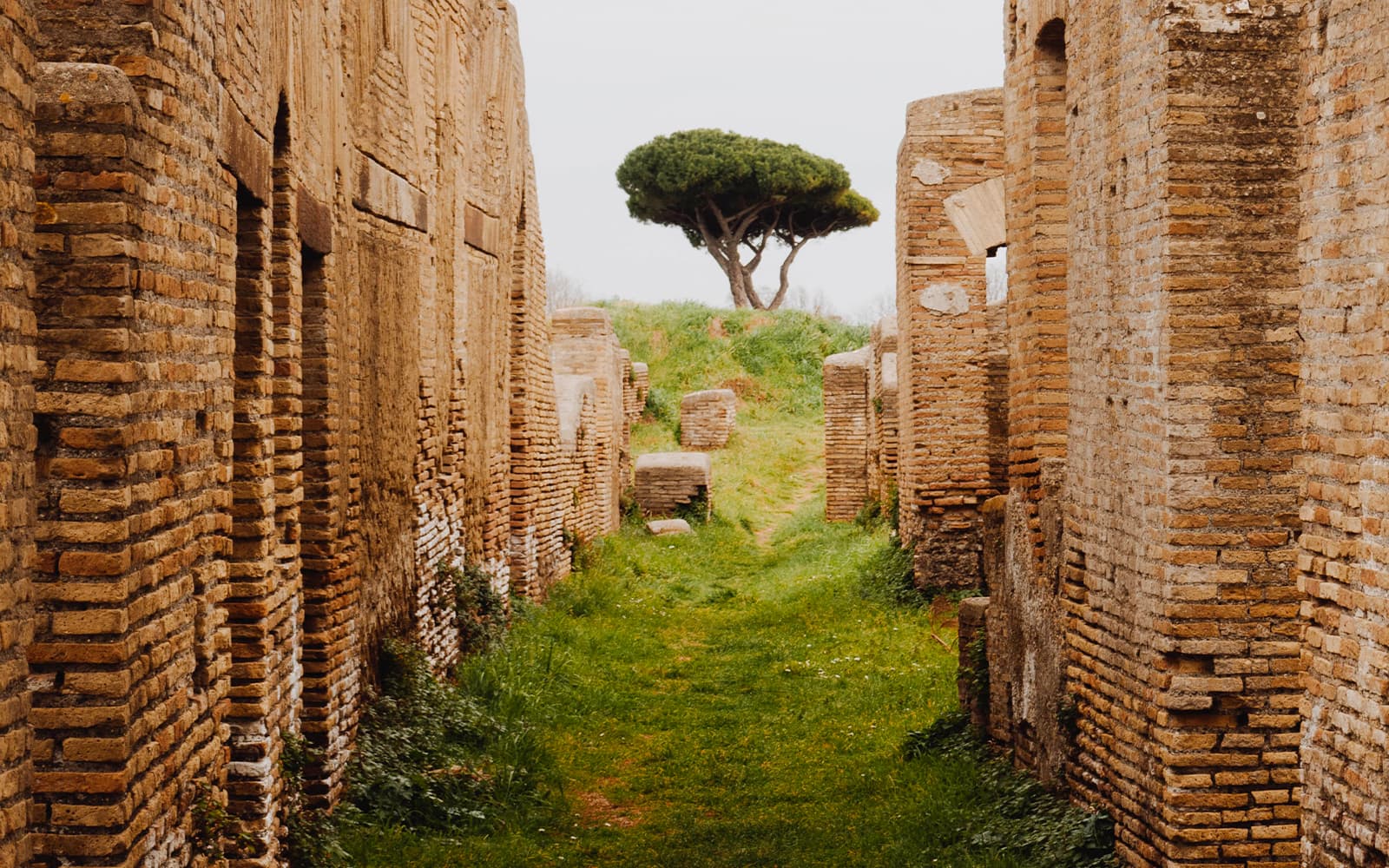 Tickets to Ostia Antica Archeological Park
