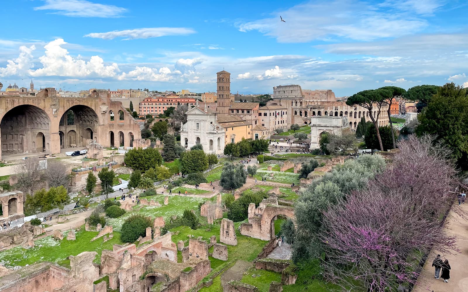 Colosseum, Roman Forum & Palatine Hill Access with Exclusive Arena Floor tickets in Rome - Highlights | TickYourList