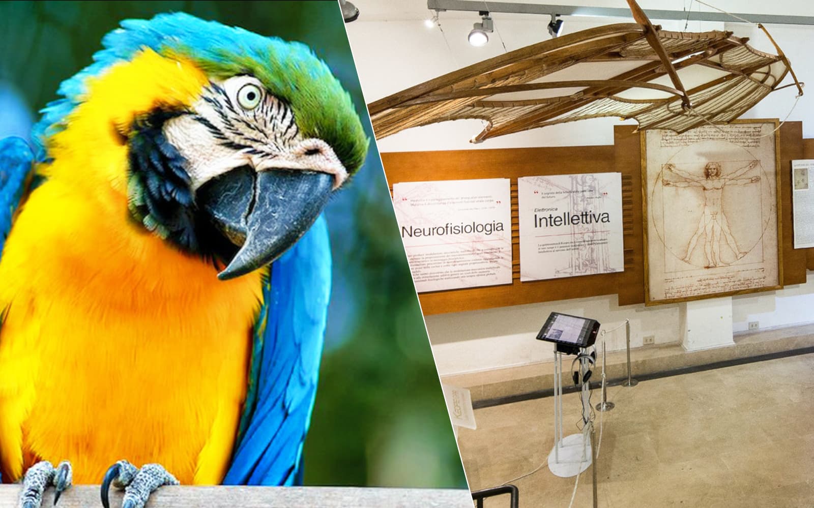 Combo (Save 5%): Rome Bioparco + Leonardo da Vinci Museum Tickets