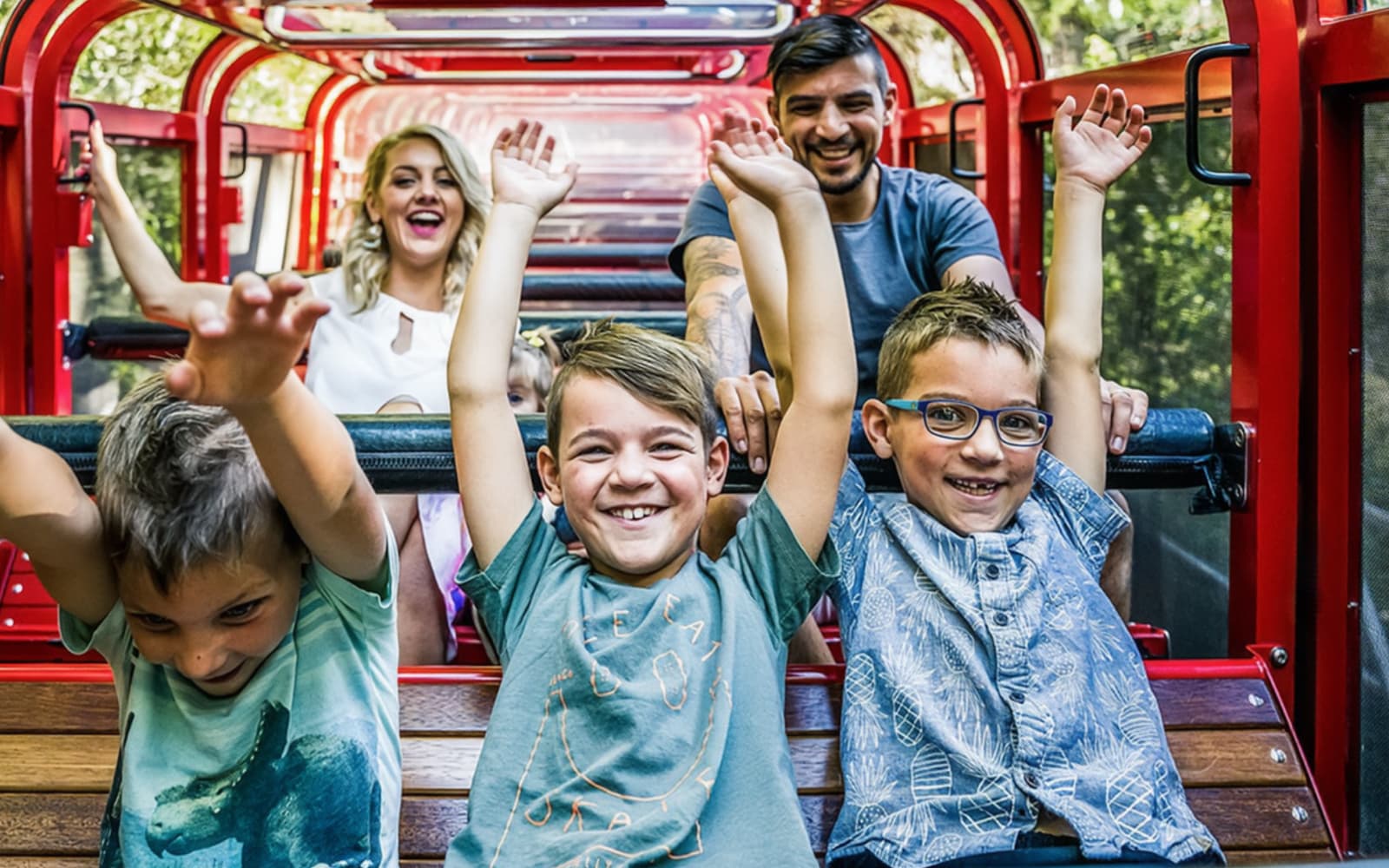 Blue Mountains Hop-On Hop-Off Bus Tour with Optional Scenic World Pass tickets in Sydney - Features | TickYourList