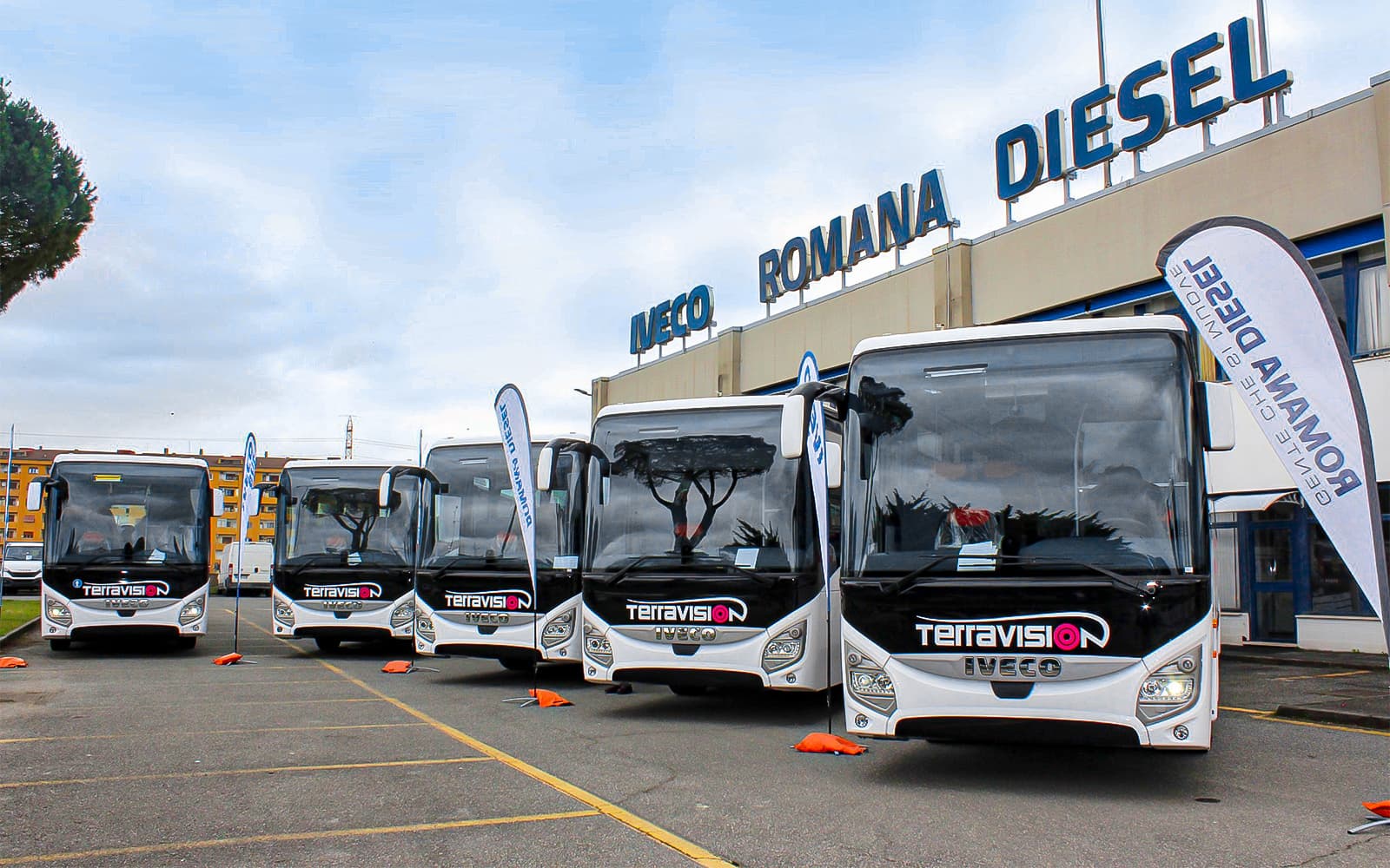 Bus Transfers: Rome Ciampino Airport to/from Rome City Center and Back by Terravision tickets in Rome - Highlights | TickYourList
