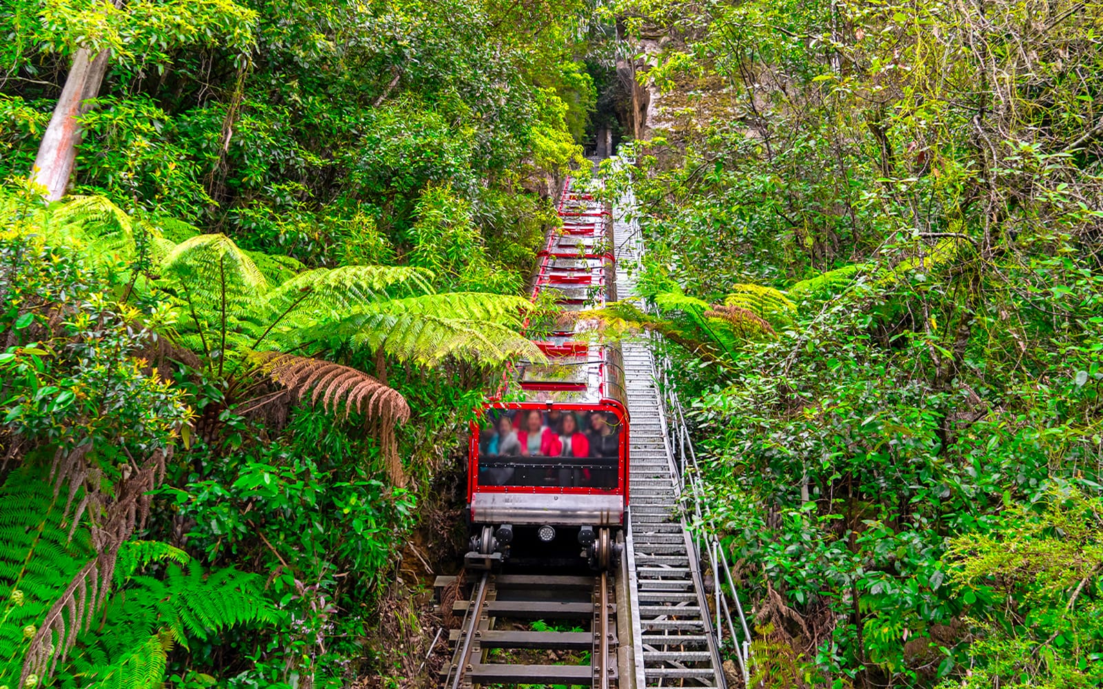 Blue Mountains Scenic World Pass tickets in Sydney - Attractions | TickYourList