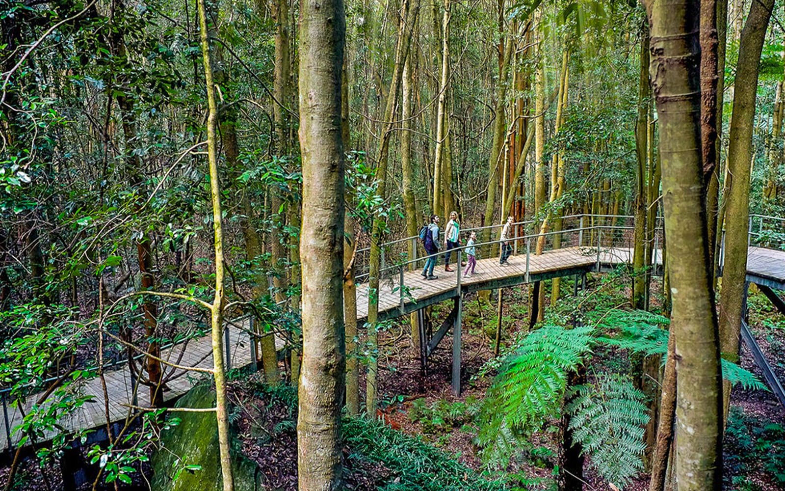 Blue Mountains Scenic World Pass tickets in Sydney - Activities | TickYourList