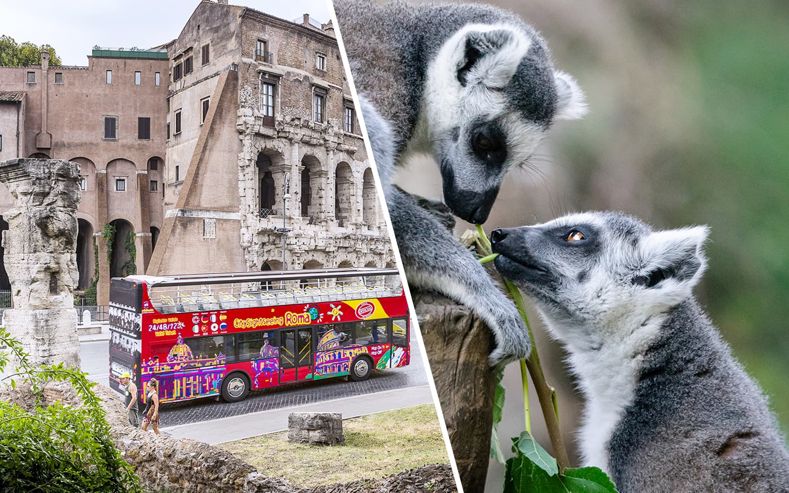 Rome Hop-On Hop-Off Bus Tour with Bioparco Tickets