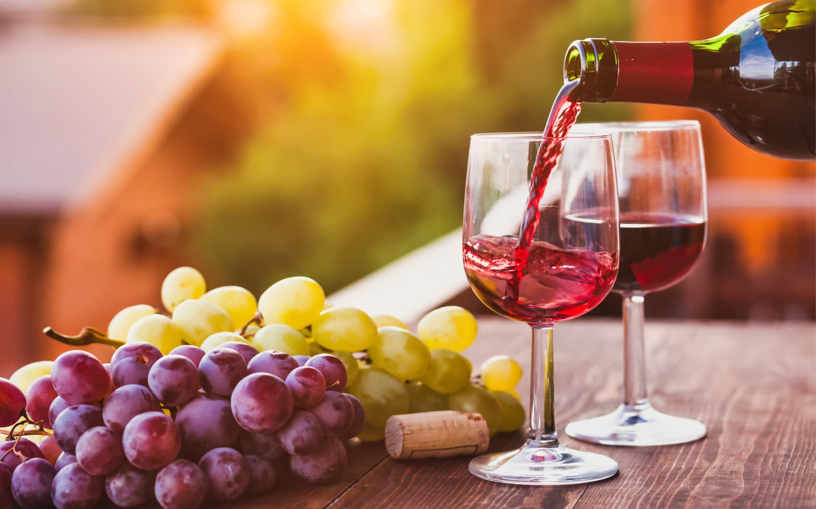 Frascati Wine Tour from Rome with Lunch