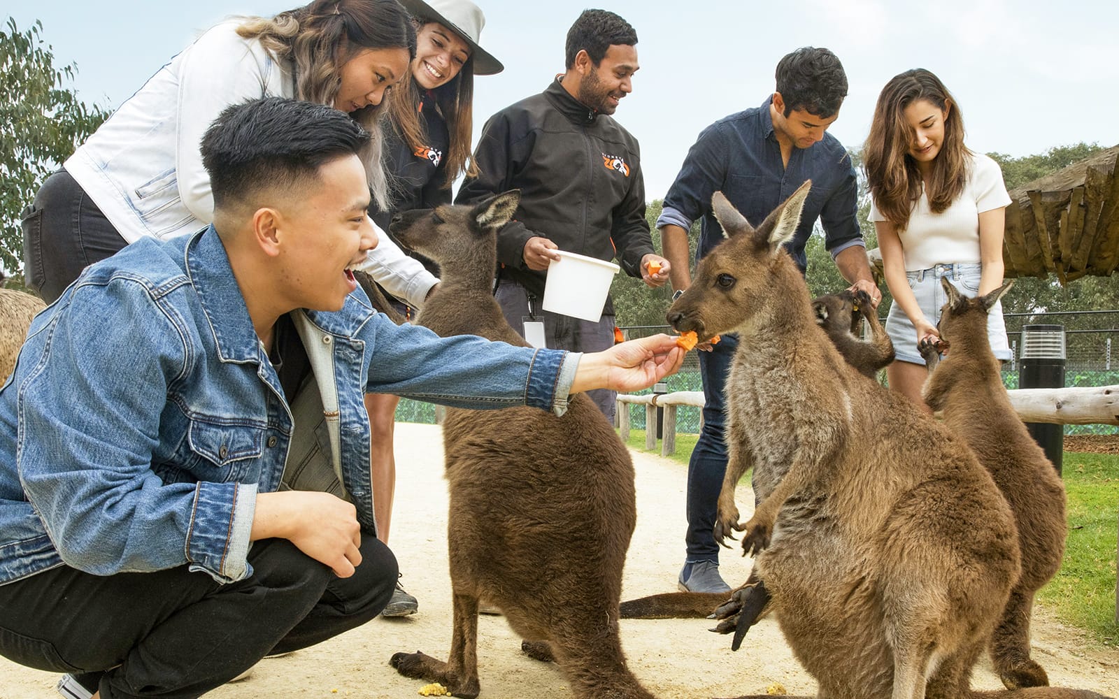 Sydney Zoo Tickets experience in Sydney | TickYourList