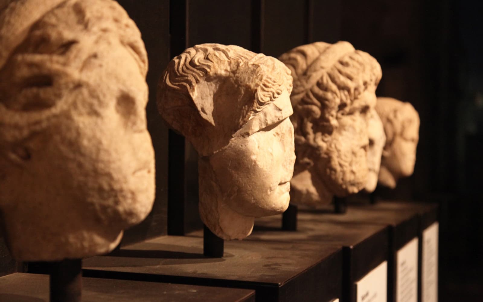 Colosseum Arena & Roman Forum Small-Group Guided Tour tickets in Rome - Highlights | TickYourList