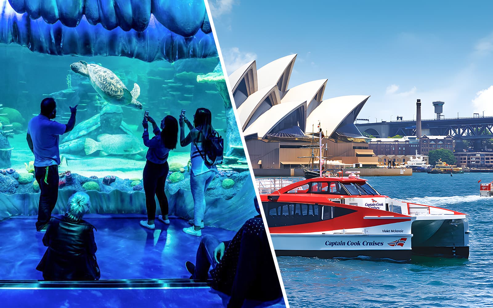 Combo: SEA LIFE Sydney Aquarium + Taronga Zoo with Express Ferry Tickets