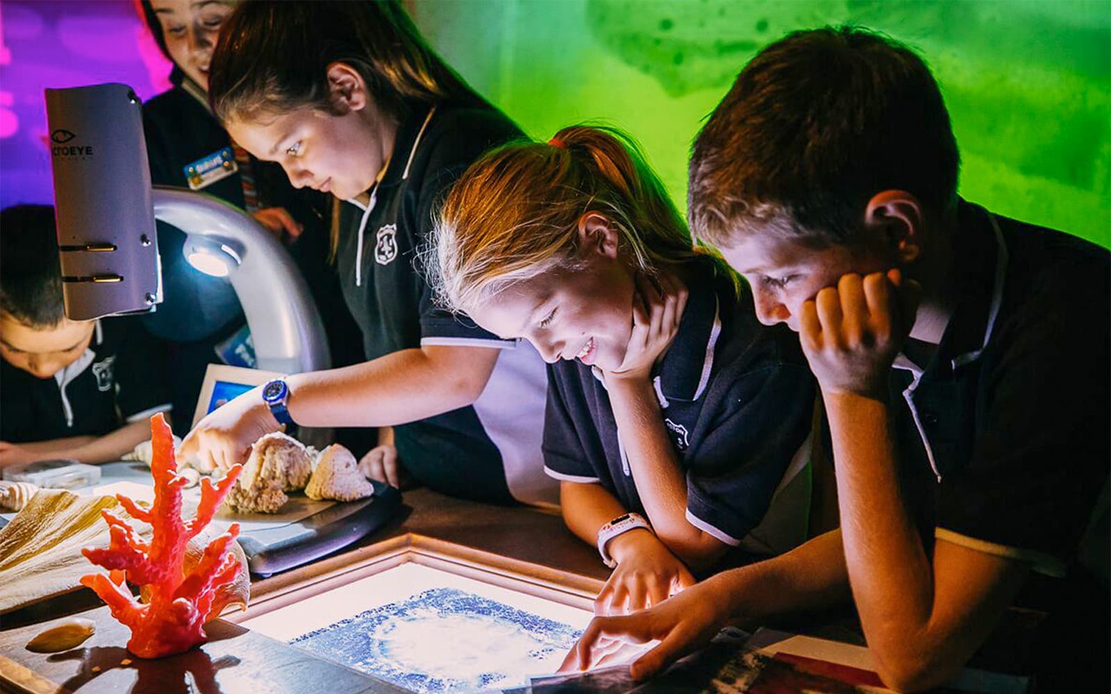 Combo: SEA LIFE Sydney Aquarium + Taronga Zoo with Express Ferry Tickets in Sydney - Activities | TickYourList