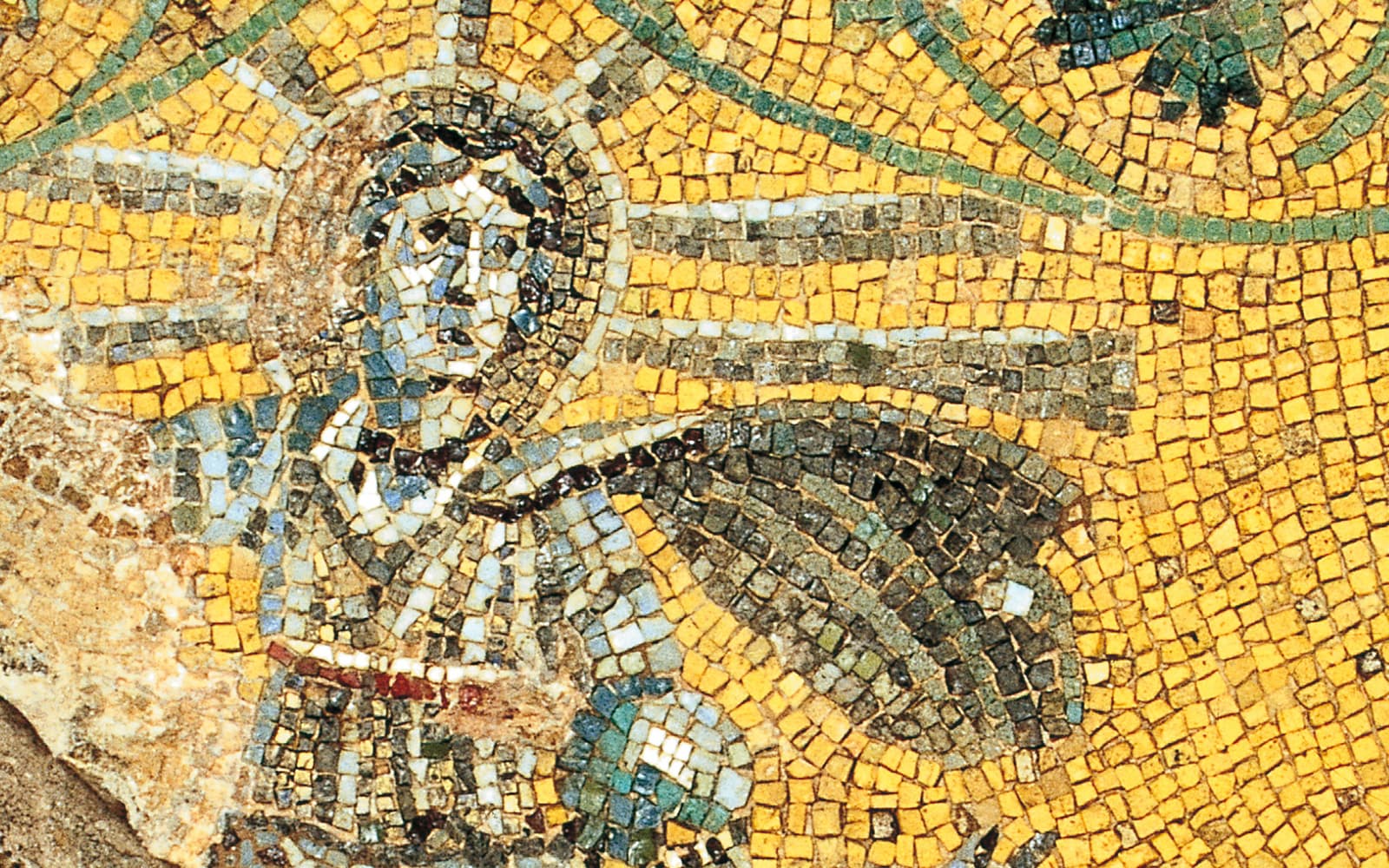 Fast Track: St. Peter’s Basilica and Vatican Necropolis - Guided Tour experience tickets in Rome | TickYourList