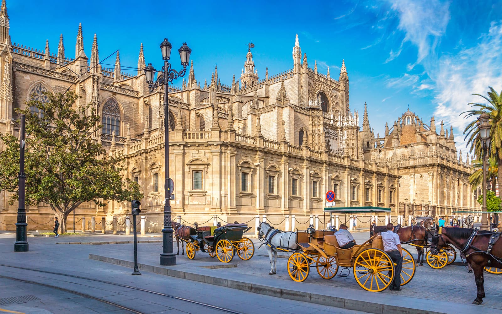 Alcázar of Seville + Seville Cathedral + La Giralda Skip-the-Line Guided Tour tickets in Seville - Activities | TickYourList