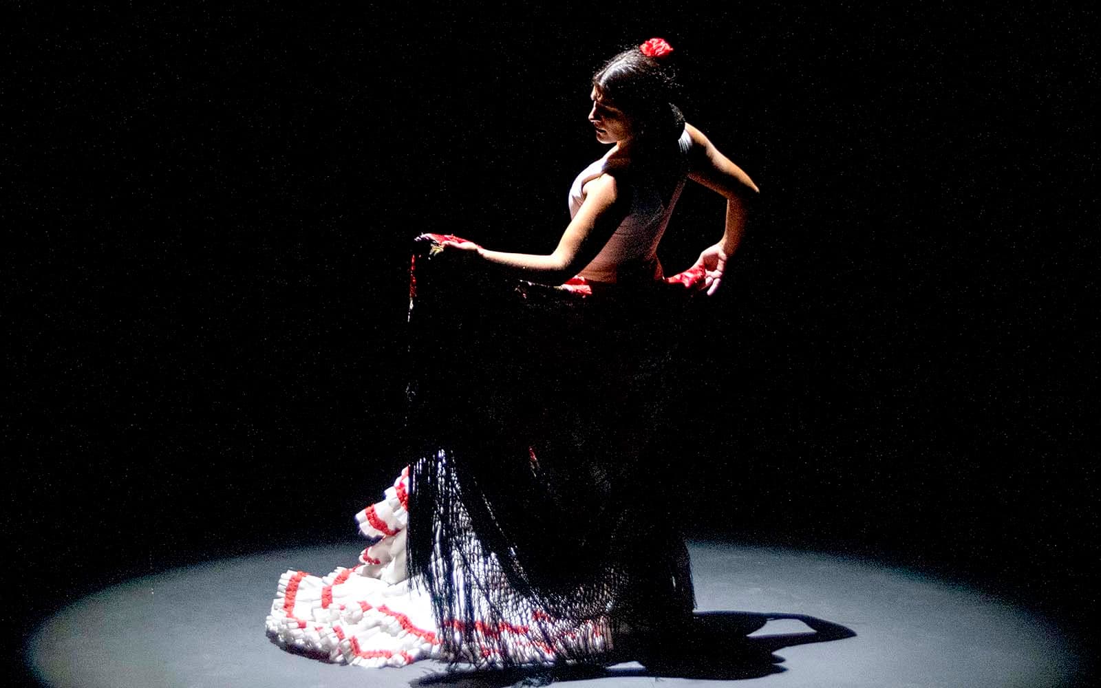 Seville Flamenco Theatre - Passion Show