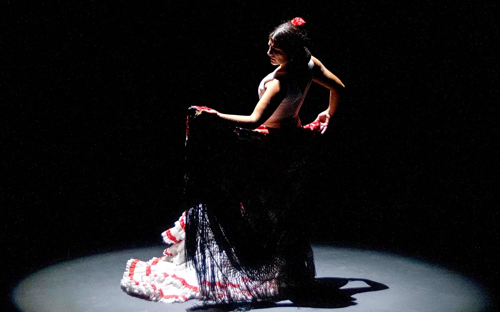 Seville Flamenco Theatre - Passion Show