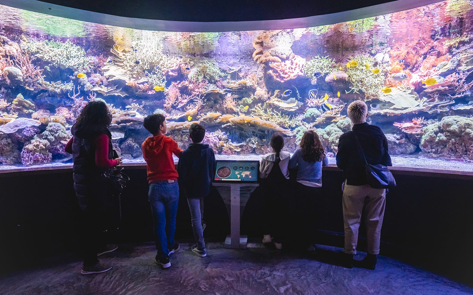 Seville Aquarium Tickets experience in Seville | TickYourList
