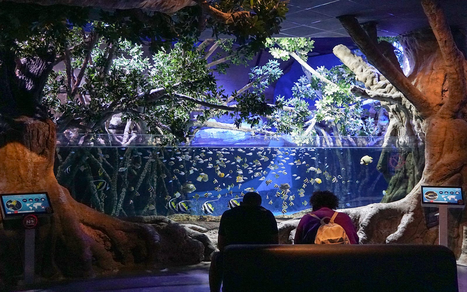 Seville Aquarium Tickets in Seville - Activities | TickYourList