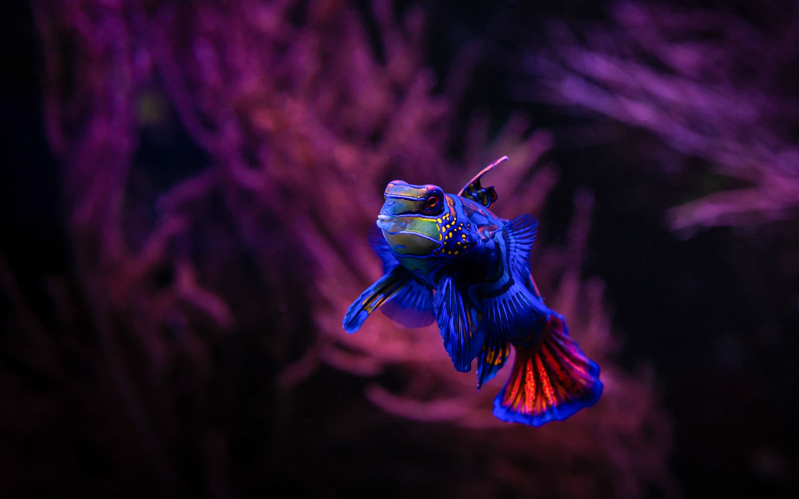 Seville Aquarium Tickets in Seville - Features | TickYourList