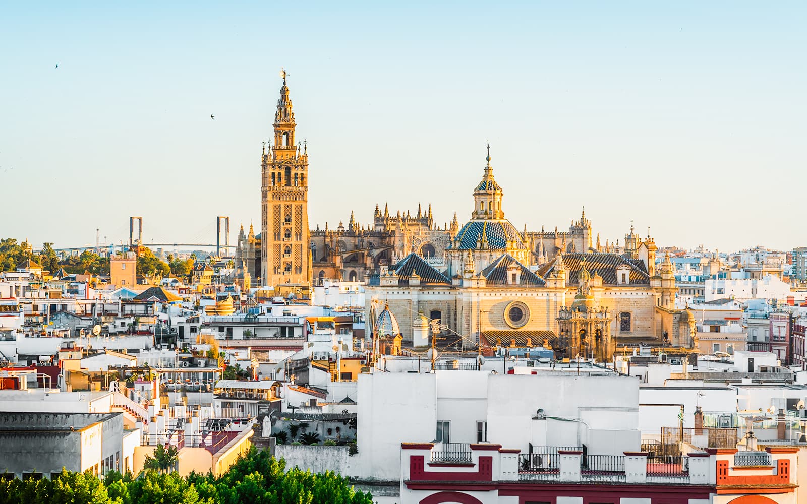 Seville Cathedral & Alcázar of Seville Skip-the-Line + Flamenco Show Entry Ticket in Seville - Activities | TickYourList