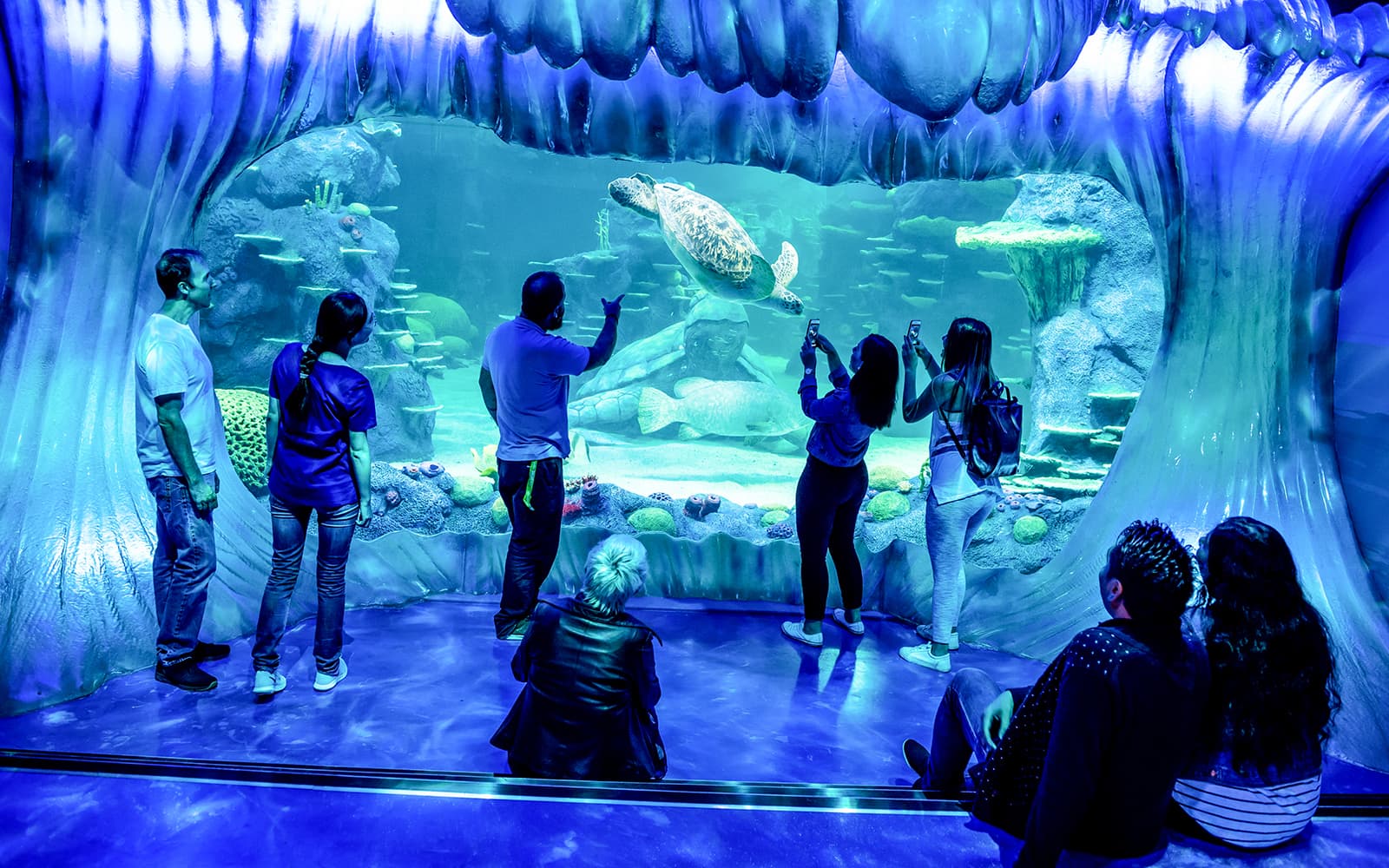 Sydney Multi-Attraction Pass tickets in Sydney - Attractions | TickYourList