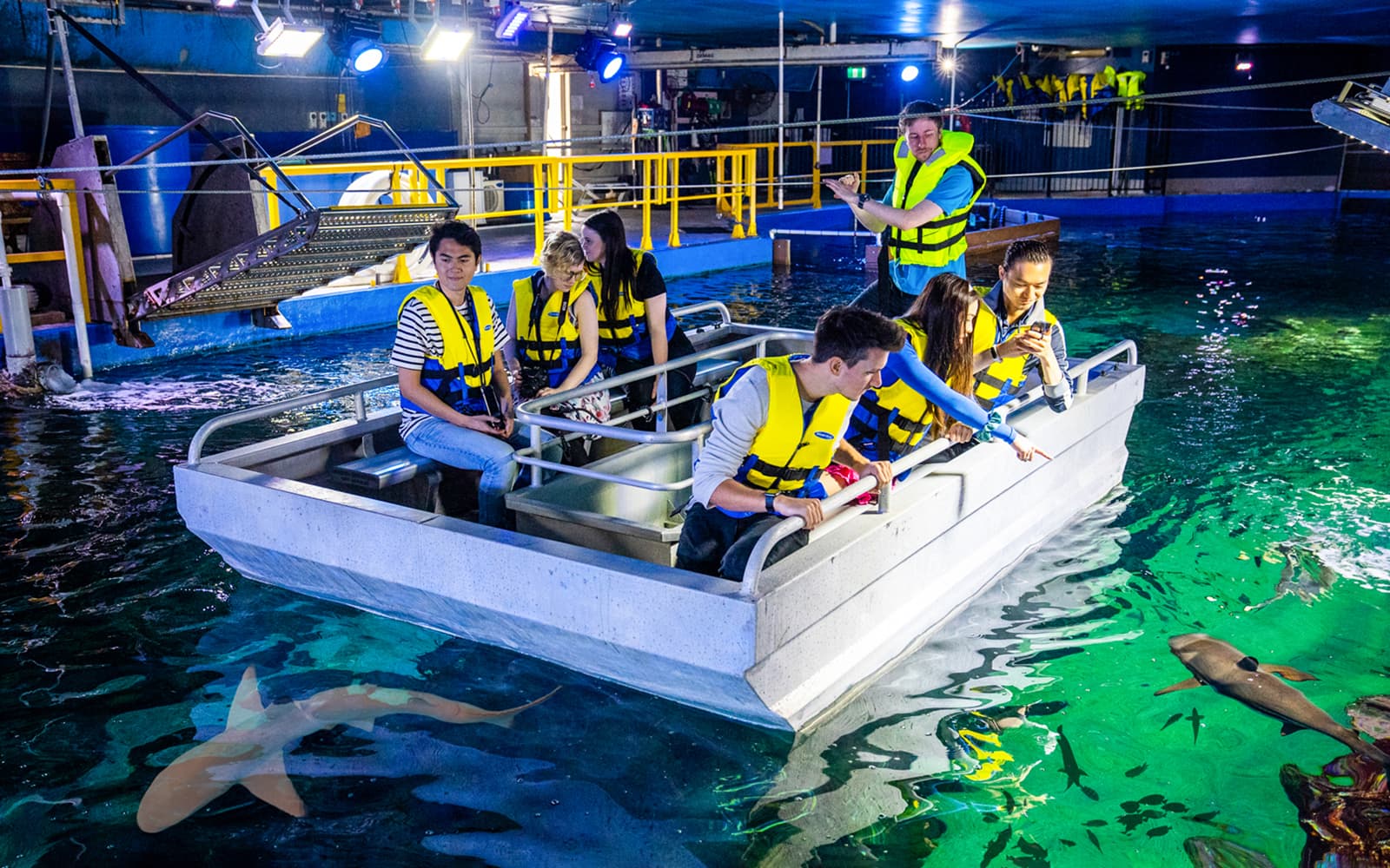 Sydney Multi-Attraction Pass tickets in Sydney - Activities | TickYourList