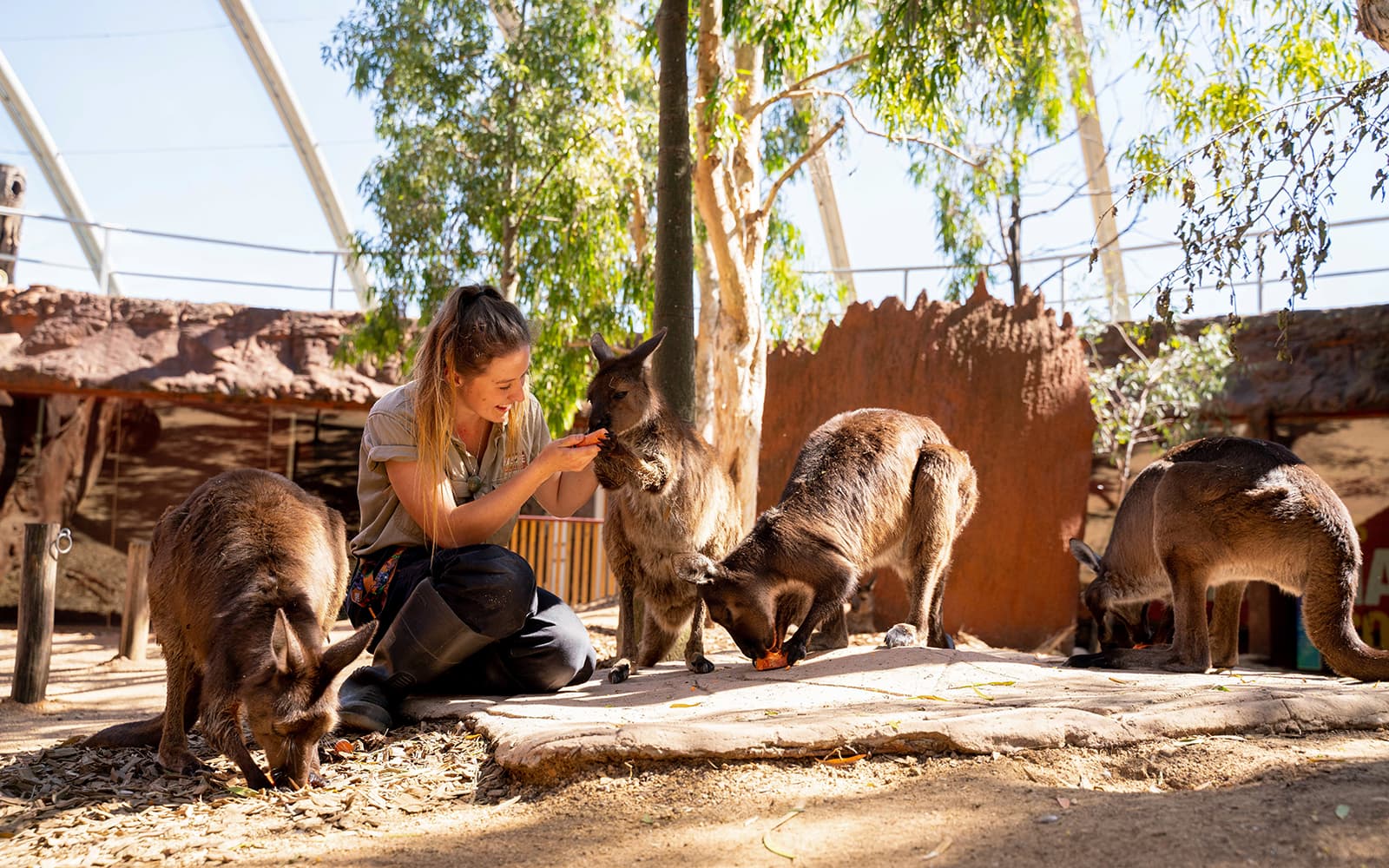 Sydney Multi-Attraction Pass tickets in Sydney - Features | TickYourList