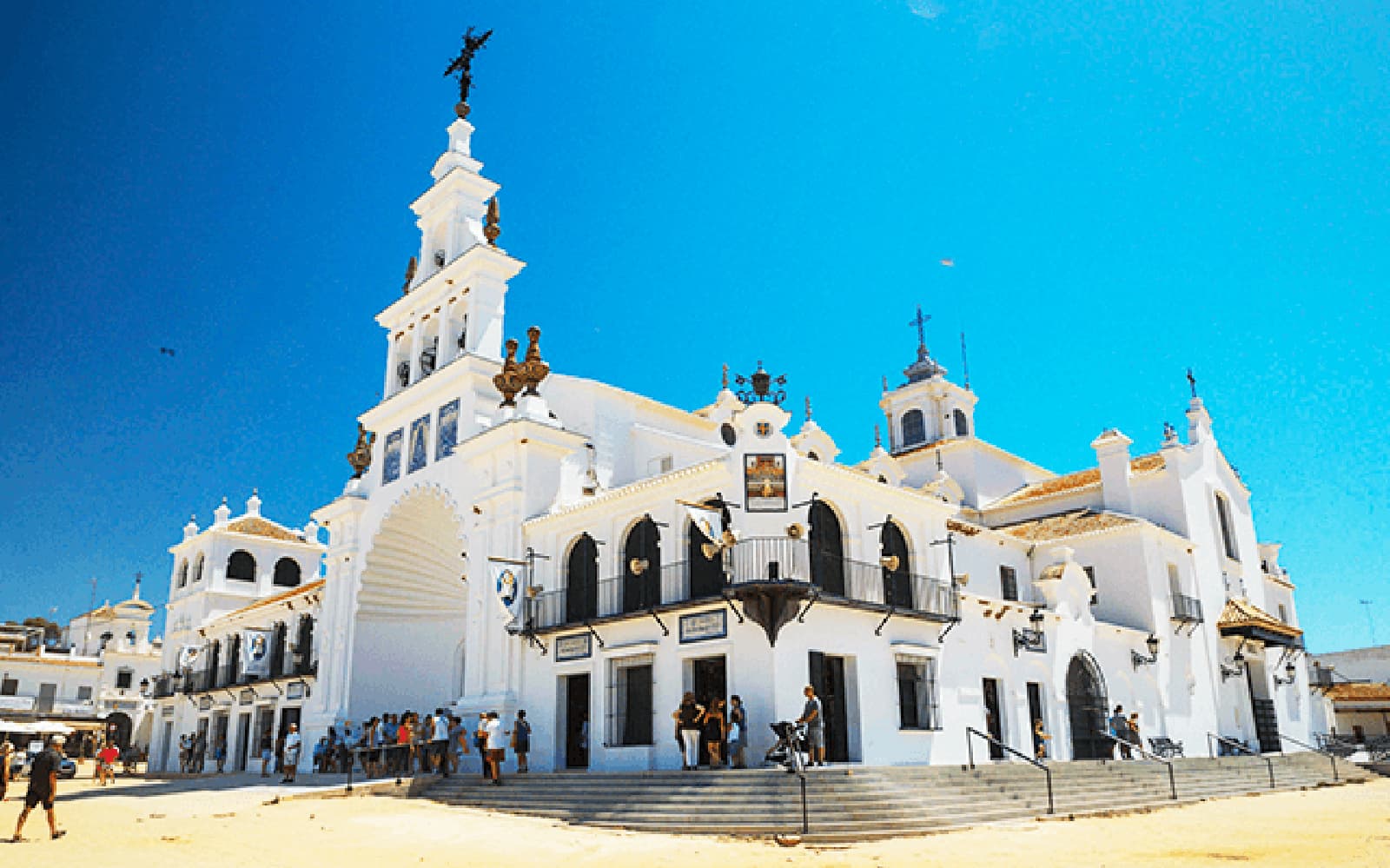 Doñana National Park Day Trip From Seville
