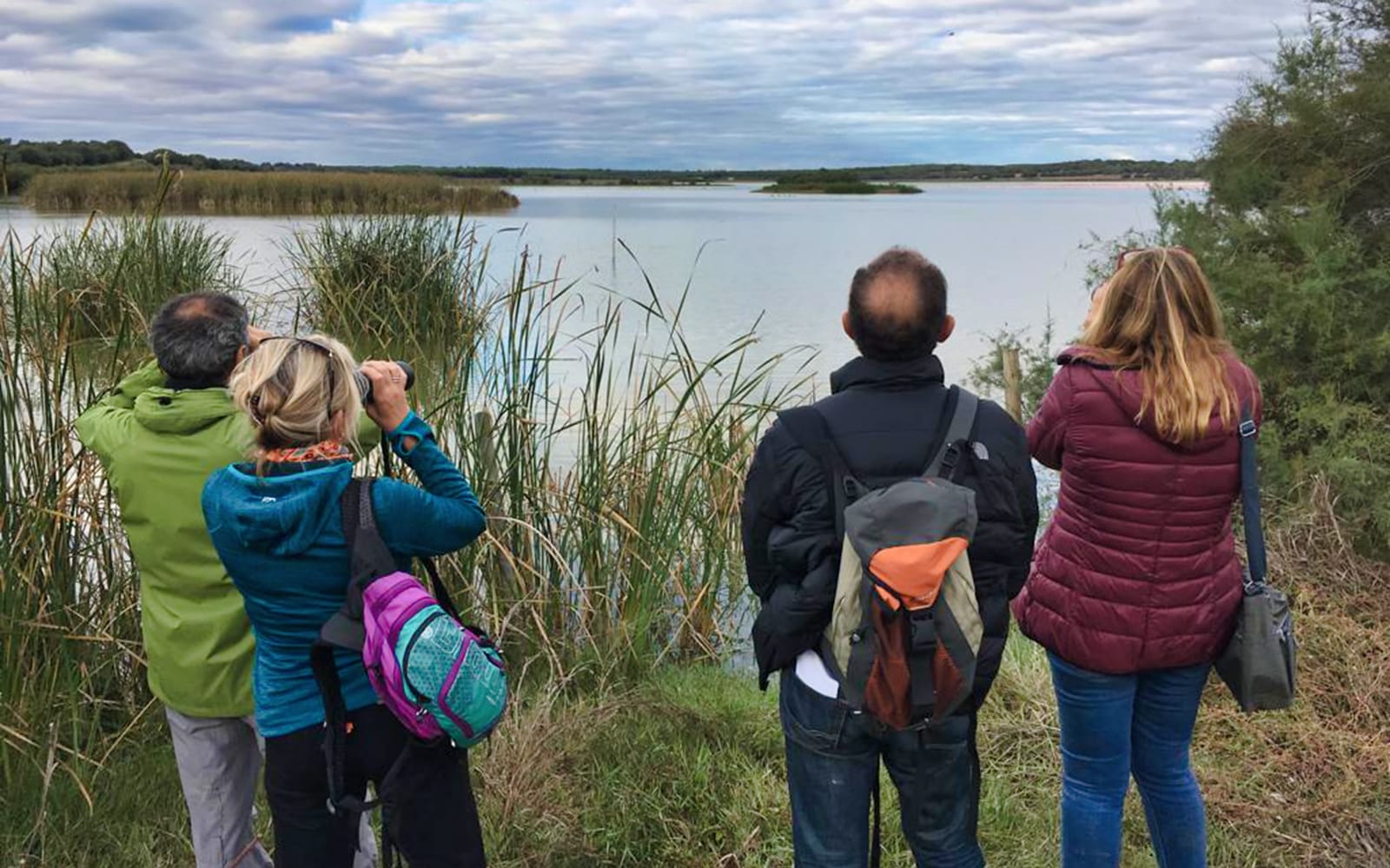 Doñana National Park Day Trip From Seville tickets in Seville - Attractions | TickYourList