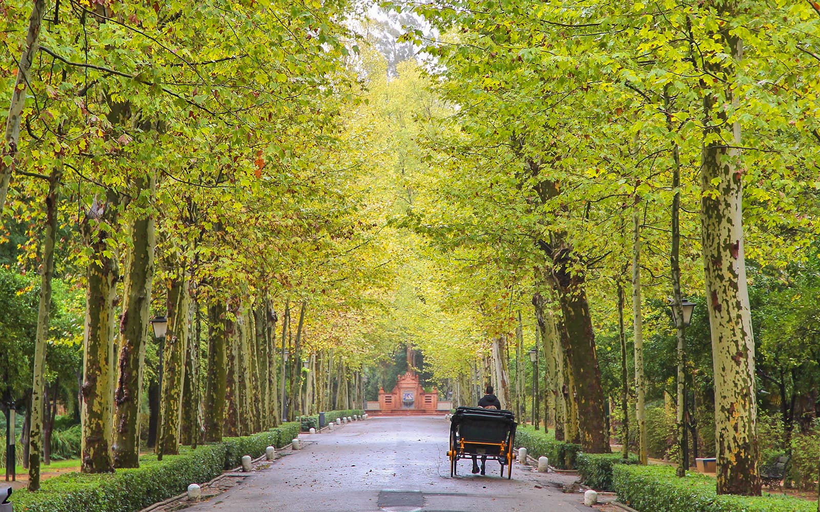 2-Hour Guided Tour of María Luisa Park and Spain Square tickets in Seville - Activities | TickYourList