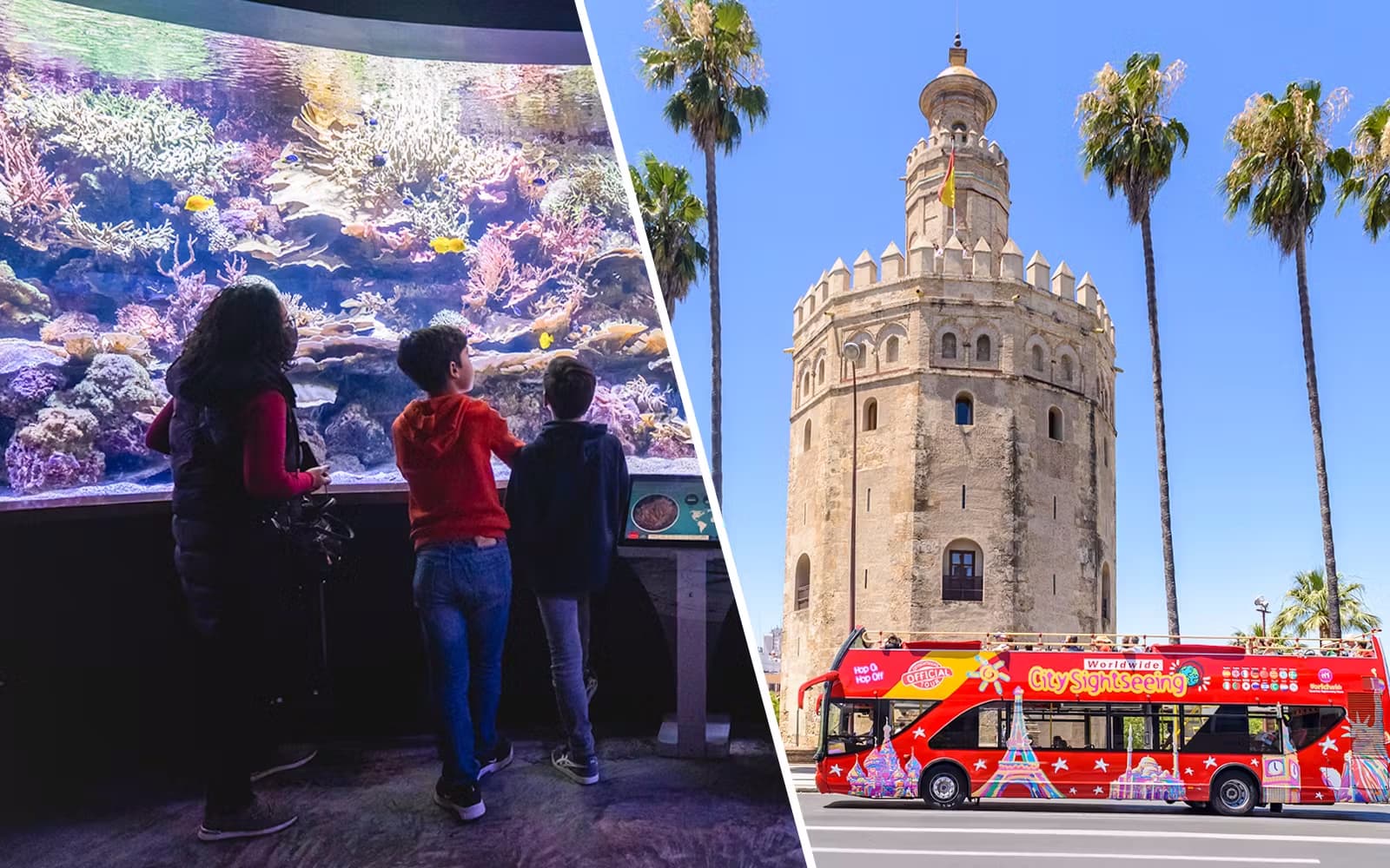 Combo (Save 5%): Seville Aquarium Tickets + Seville Hop-on Hop-off Tour + Seville Cruise
