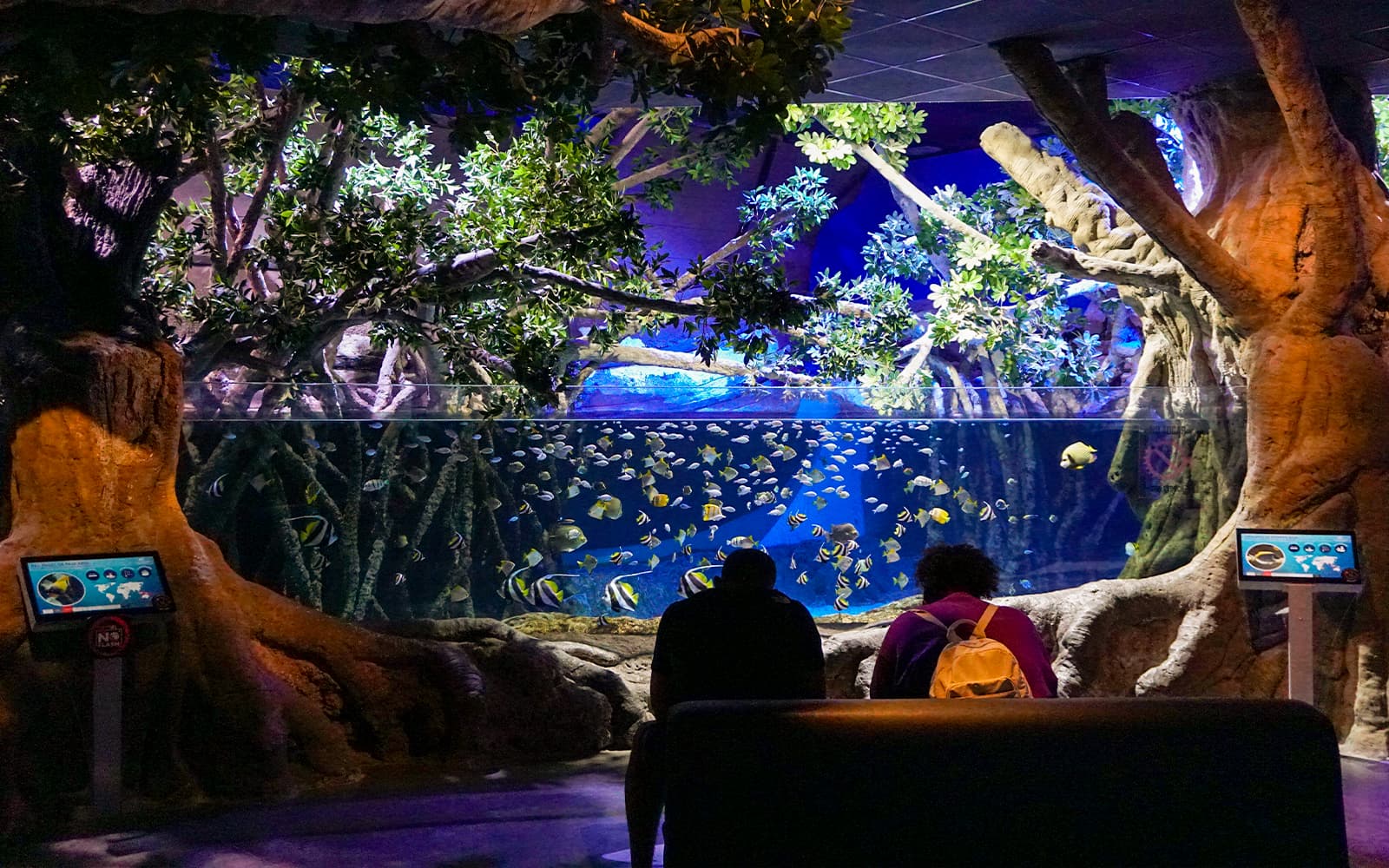 Combo (Save 5%): Seville Aquarium Tickets + Seville Hop-on Hop-off Tour + Seville Cruise in Seville - Activities | TickYourList