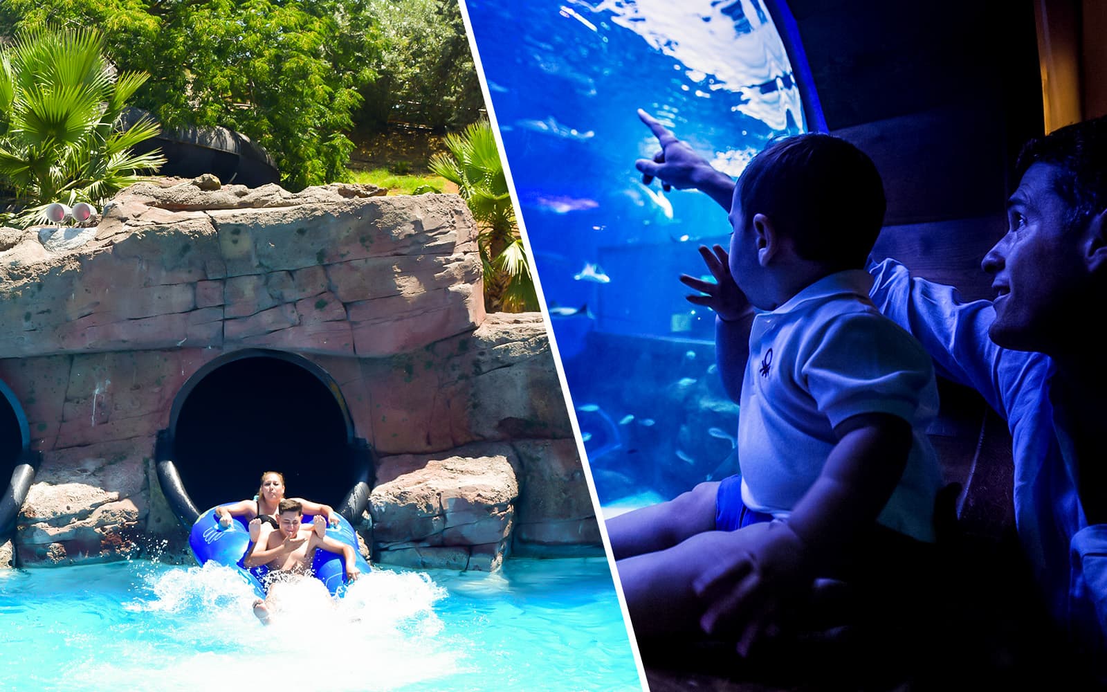 Combo: Guadalpark + Seville Aquarium Tickets