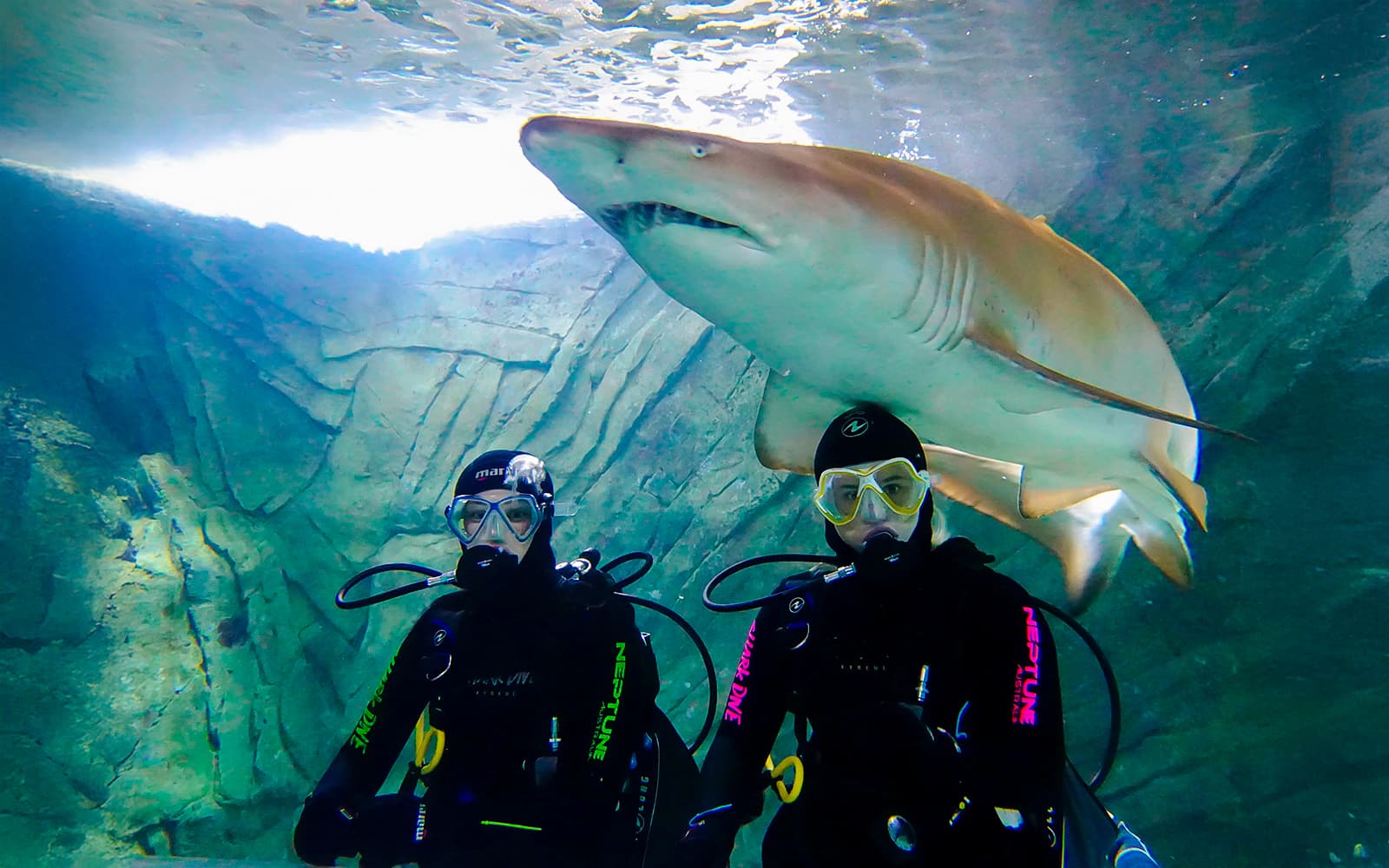 Shark Dive Xtreme Tickets at SEA LIFE Sydney Aquarium