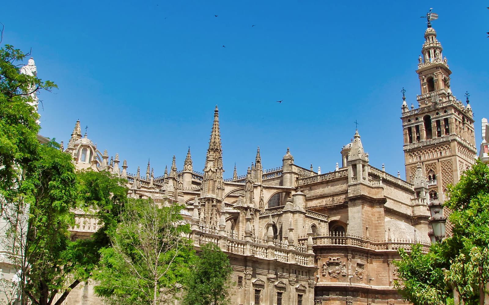 Skip-the-Line Guided Tour of Seville Cathedral & La Giralda tickets in Seville - Explore More | TickYourList