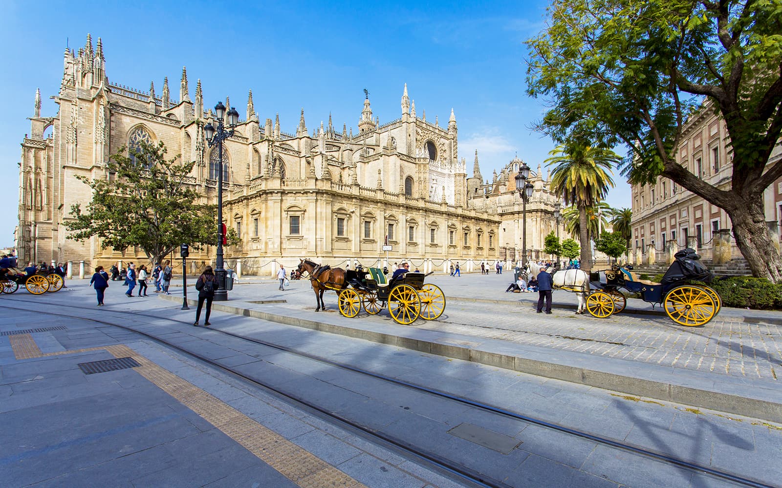 Guided Monumental Walking Tour of Seville