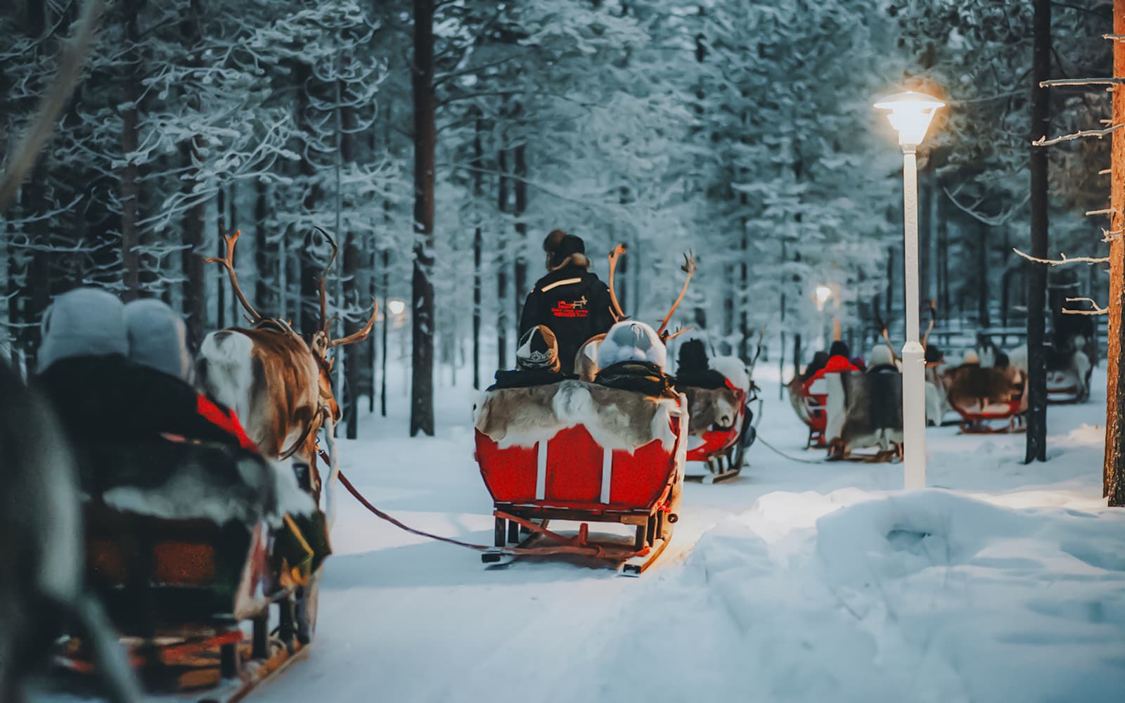 Rovaniemi: Northern Lights Hunting with Husky tickets in Rovaniemi - Attractions | TickYourList