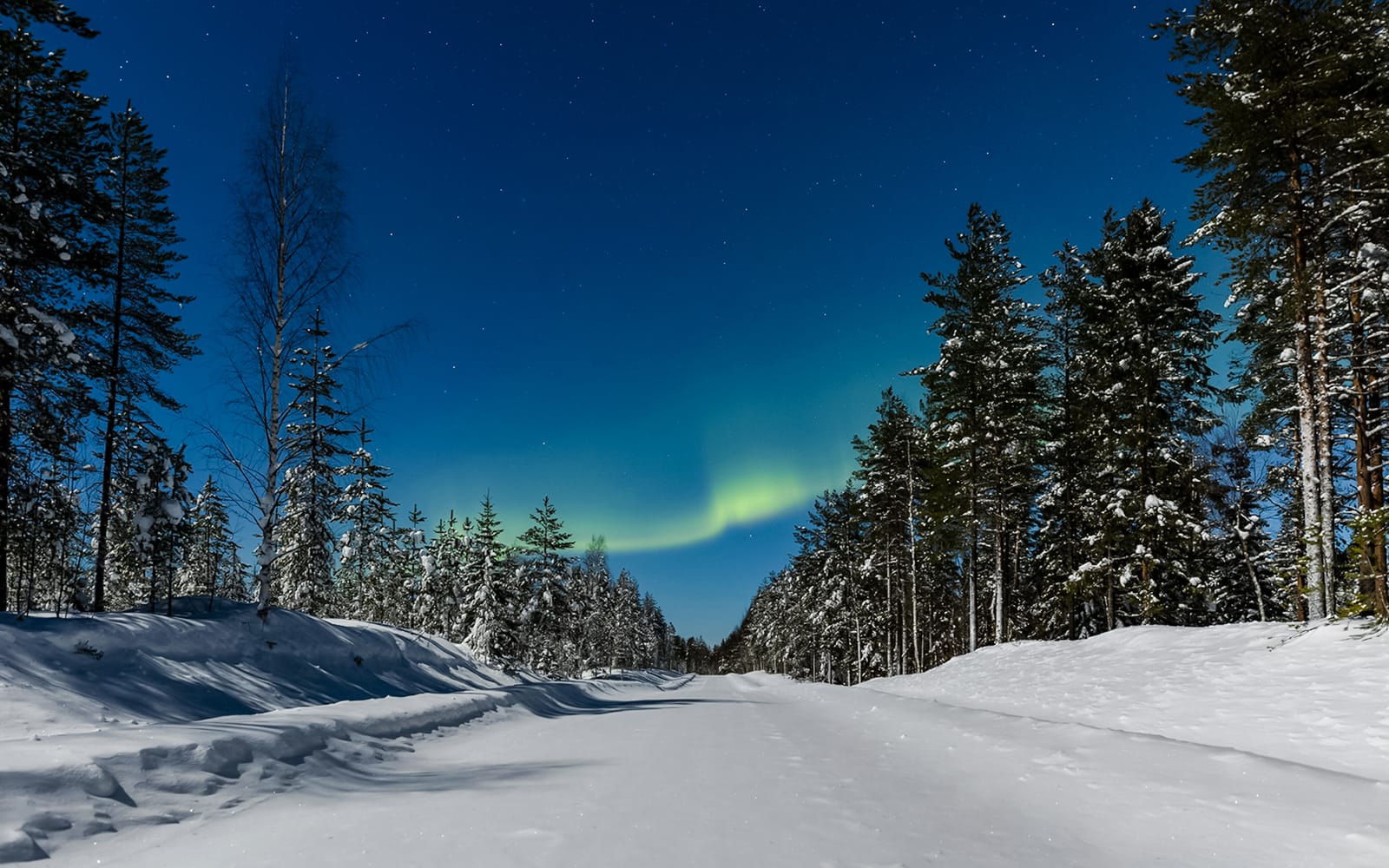Rovaniemi: Northern Lights Hunting with Husky tickets in Rovaniemi - Activities | TickYourList