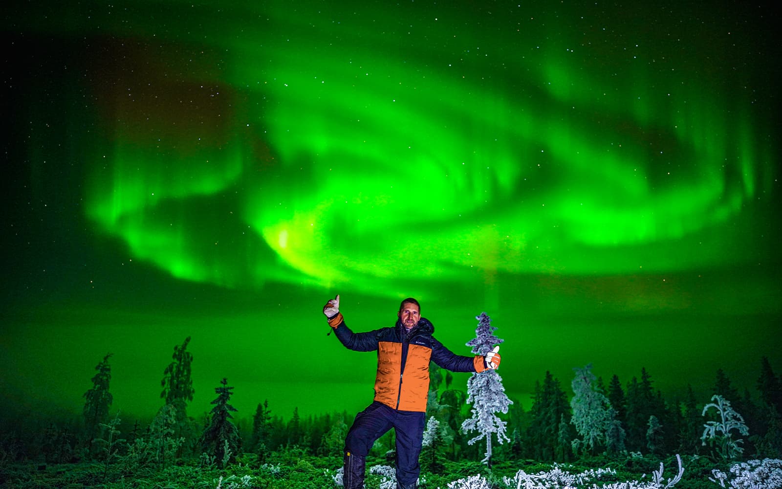 Rovaniemi: Northern Lights Hunting with Husky tickets in Rovaniemi - Features | TickYourList
