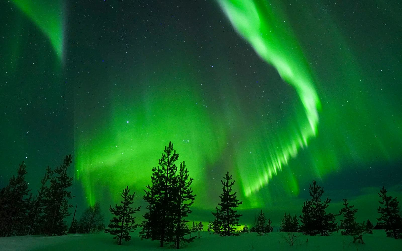 Rovaniemi: Northern Lights Chase with Guaranteed Unlimited Mileage tickets in Rovaniemi - Activities | TickYourList