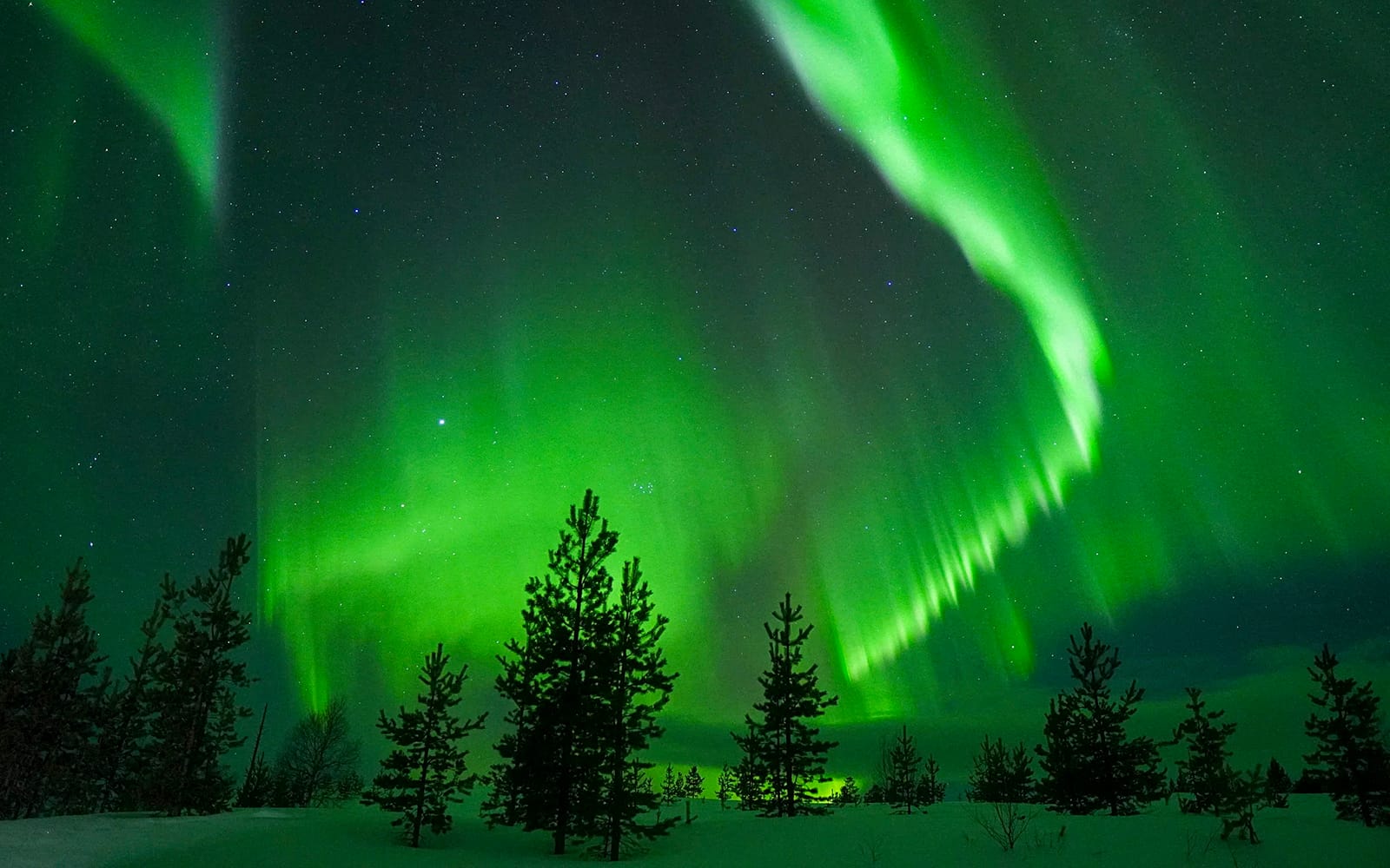 Rovaniemi: Northern Lights Chase with Guaranteed Unlimited Mileage tickets in Rovaniemi - Activities | TickYourList