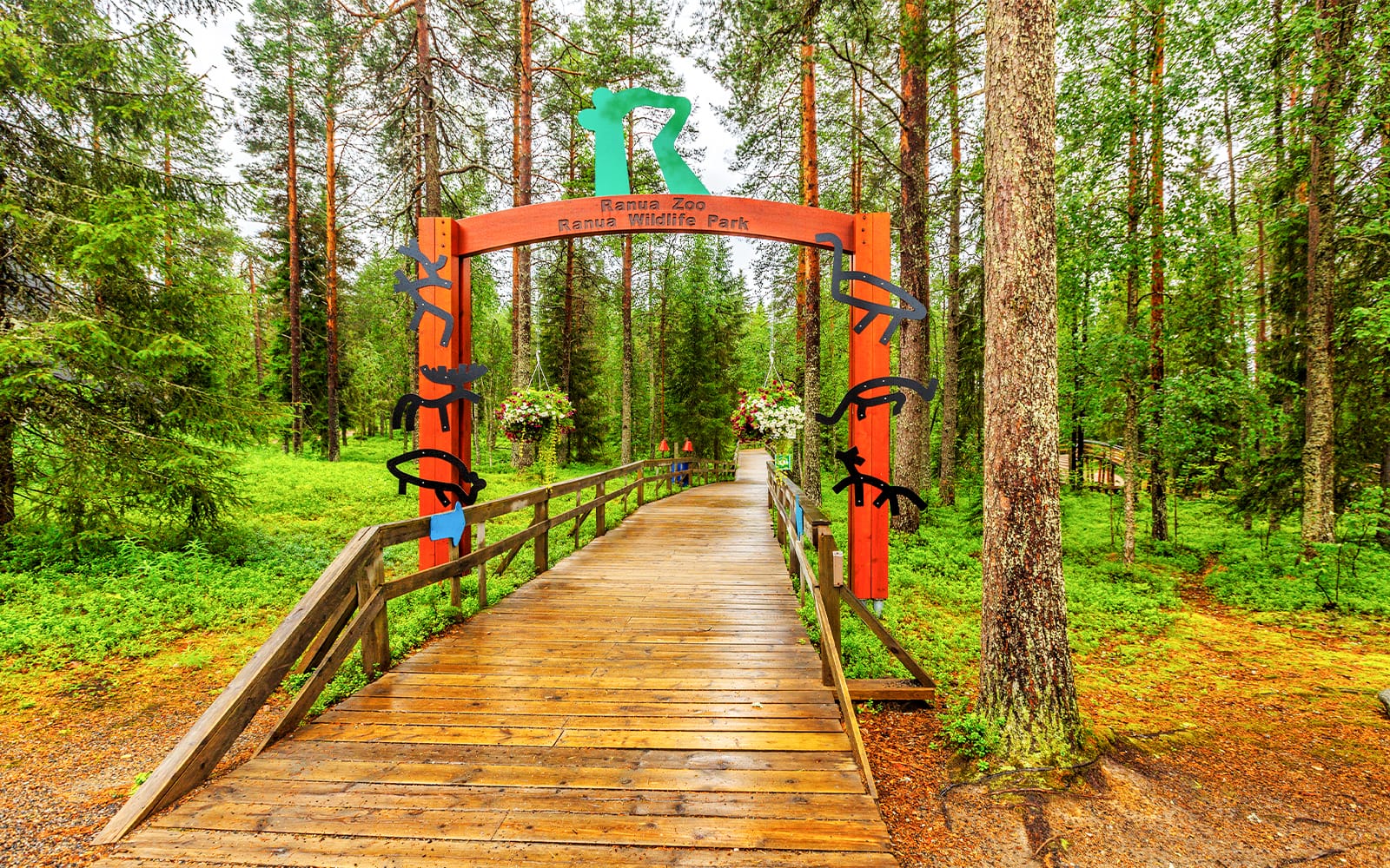 From Rovaniemi: Trip & Entry to Ranua Wildlife Park tickets in Rovaniemi - Attractions | TickYourList