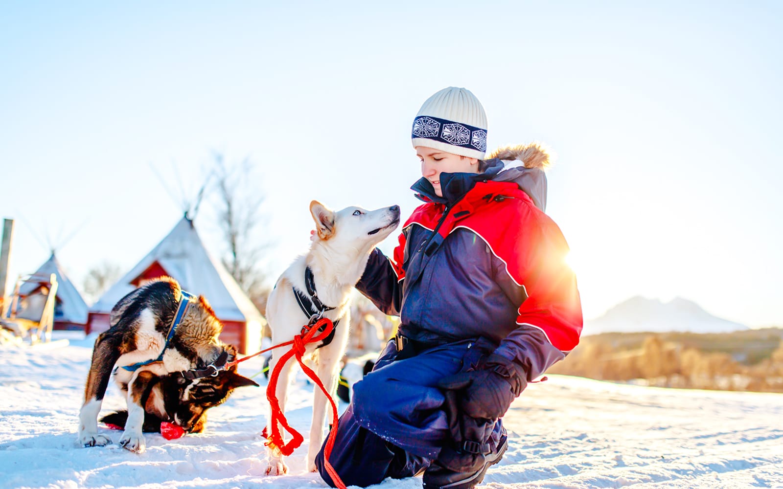 From Rovaniemi: Husky Sledding Experience tickets in Rovaniemi - Activities | TickYourList