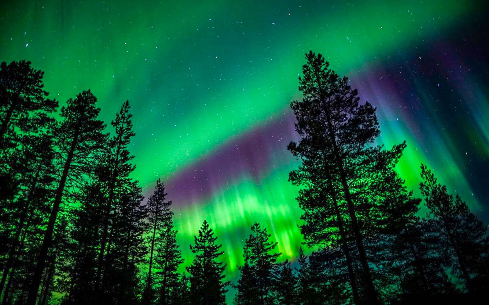 Rovaniemi: Northern Lights Chase with Professional Photography tickets in Rovaniemi - Activities | TickYourList