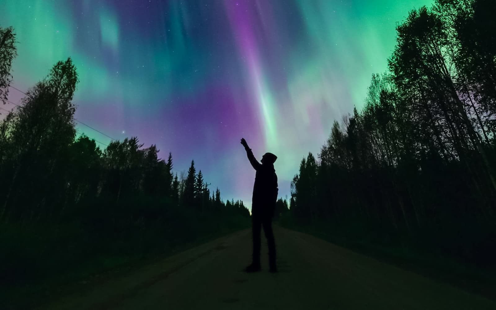 Levi: Northern Lights Chase with Unlimited Mileage & Guaranteed Sightings tickets in Rovaniemi - Highlights | TickYourList
