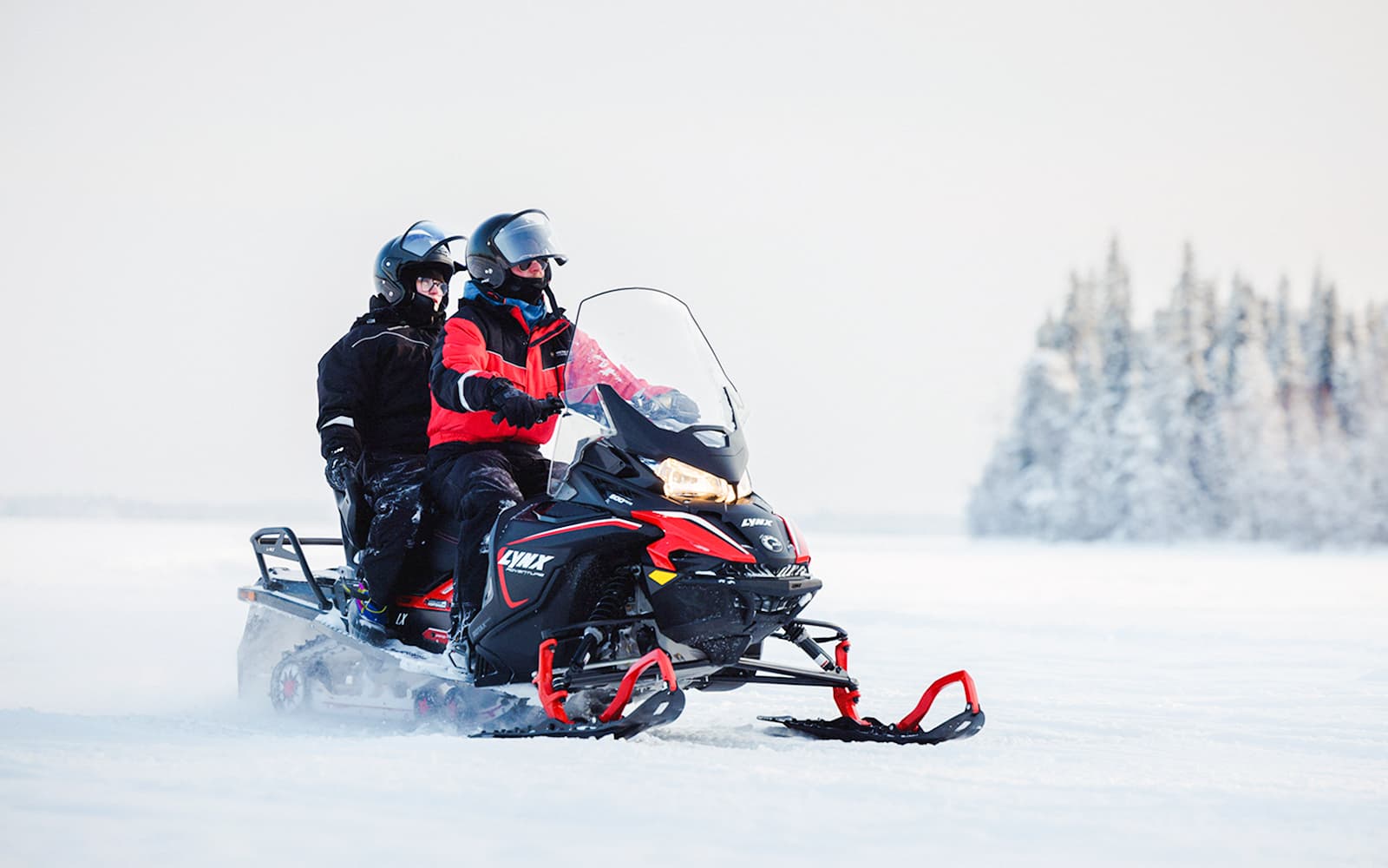 Snowmobile & Animal Sledding Experiences