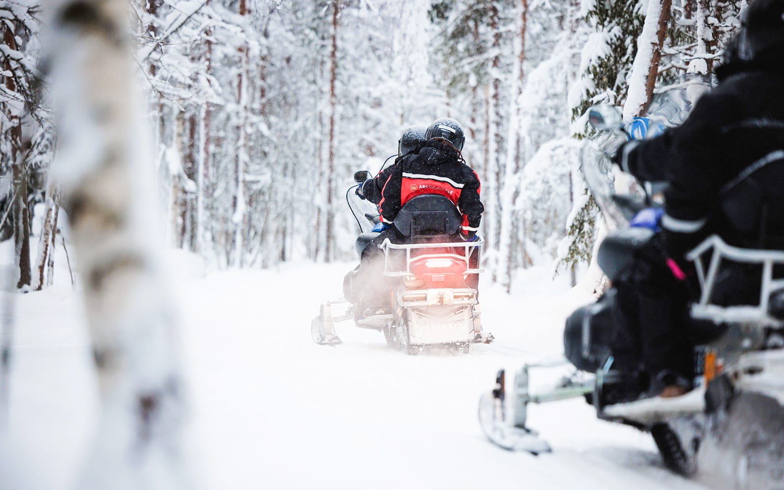 Snowmobile & Animal Sledding Experiences tickets in Rovaniemi - Activities | TickYourList