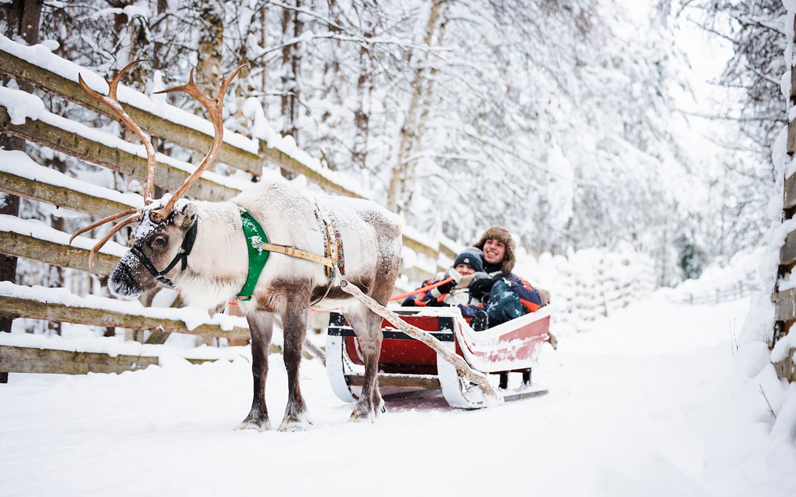 The Highlights Tour from Rovaniemi: Santa Claus Village, Husky & Reindeer Sledding tickets in Rovaniemi - Highlights | TickYourList