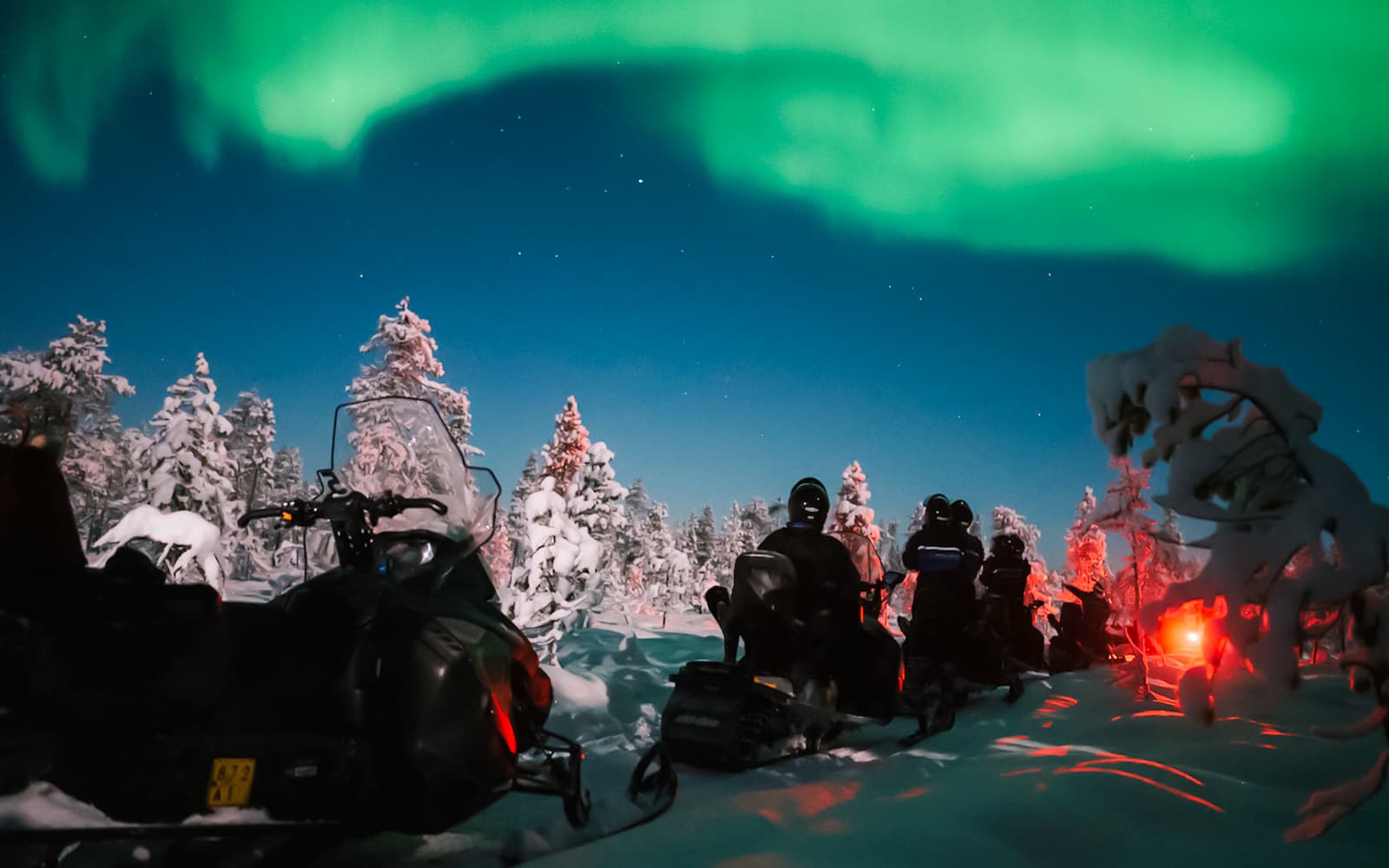 Levi: Northern Lights Snowmobile Tour