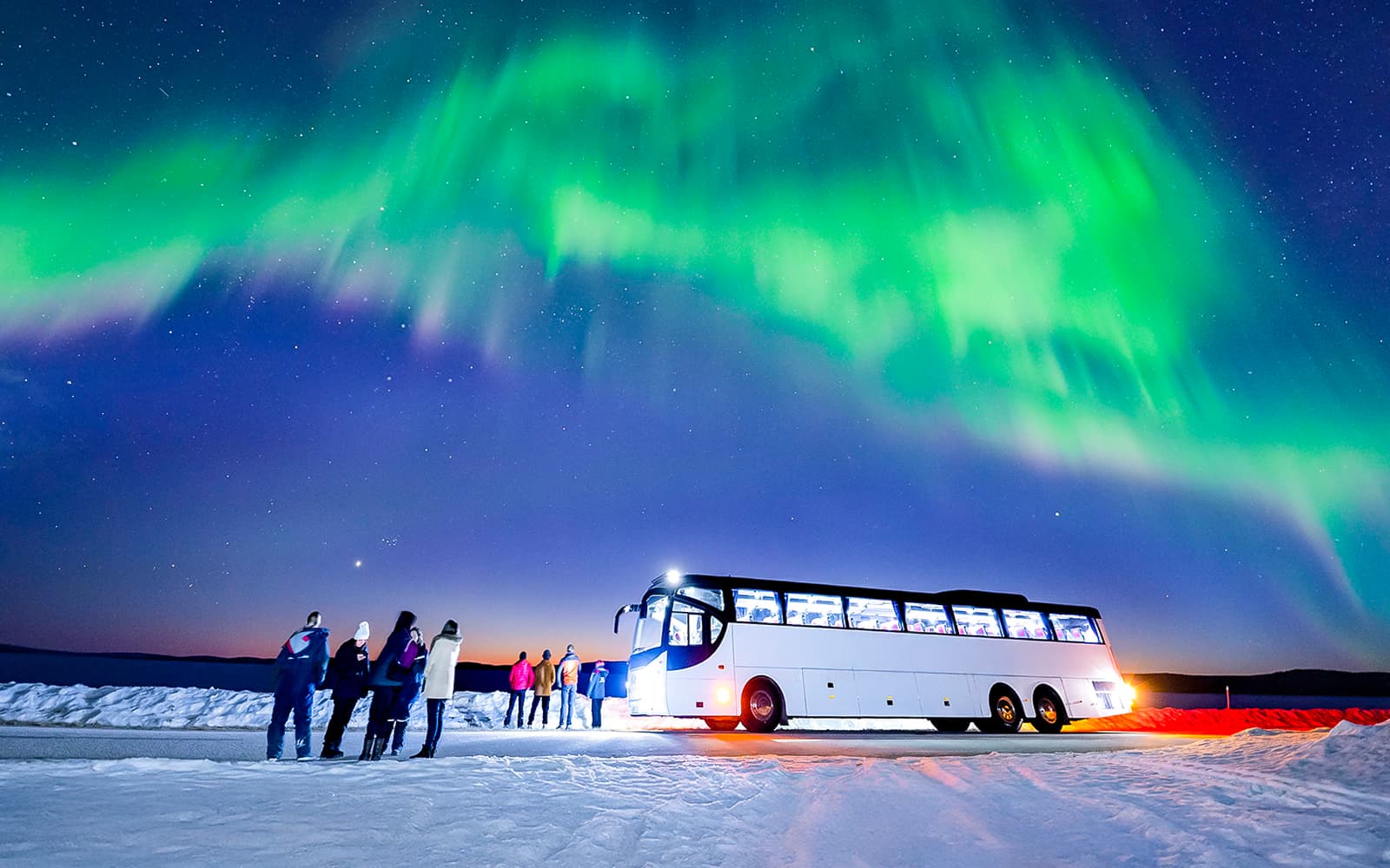 Rovaniemi: Northern Lights Chase Bus Tour tickets in Rovaniemi - Activities | TickYourList