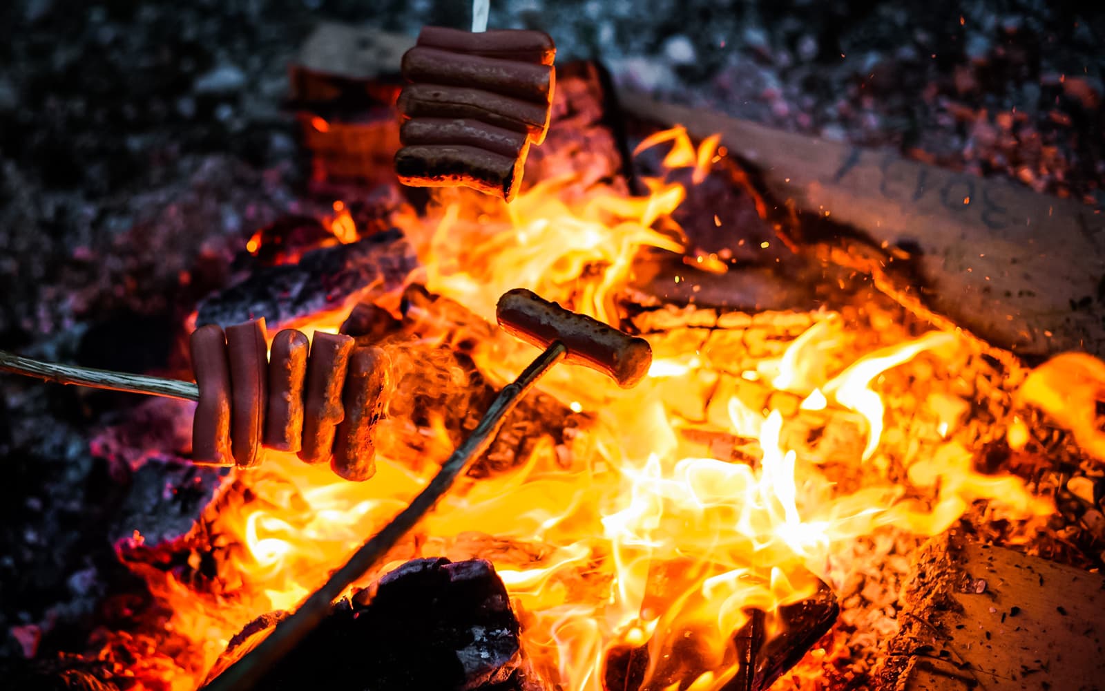 Levi: Northern Lights with Campfire & Barbecue tickets in Rovaniemi - Activities | TickYourList