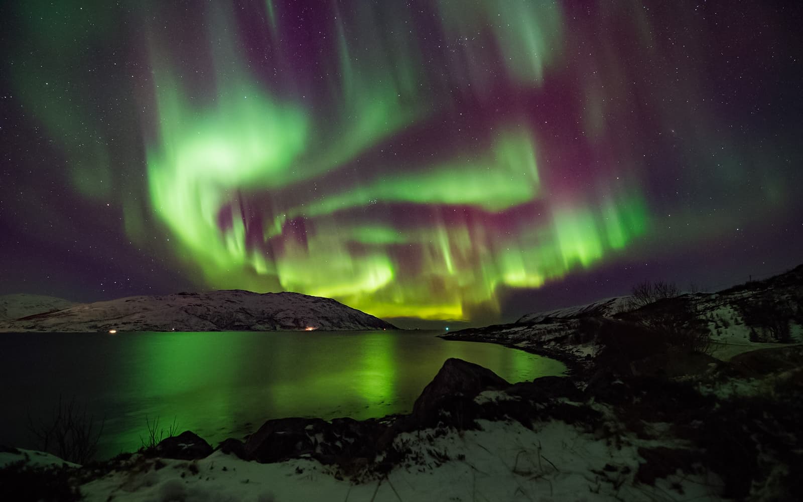 Levi: Northern Lights with Campfire & Barbecue tickets in Rovaniemi - Highlights | TickYourList