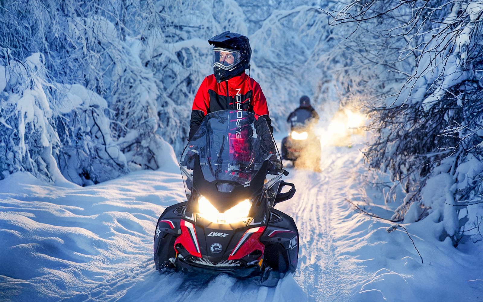 Rovaniemi: Northern Lights Snowmobile Hunt experience tickets in Rovaniemi | TickYourList